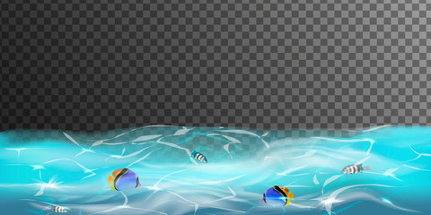 Fototapeta na wymiar Transparent underwater blue ocean background with sea fish.