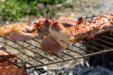 Roasted beef meat, outdoors barbecue cooking, protein grilled meal