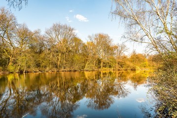 Fototapeta na wymiar wunderschöne Spiegelung von Bäumen in einem See im Frühling
