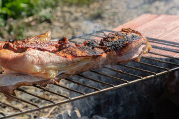 Roasted beef meat, outdoors barbecue cooking, protein grilled meal