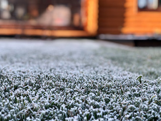 frozen grass the lawn is smooth and clean in winter against the background of a blur log house in...