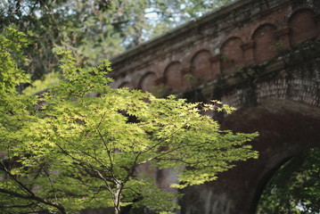 京都　南禅寺水路閣と青もみじ