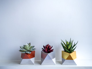 Cactus pot. Concrete pot. Modern geometric concrete planter.