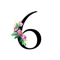 Floral numbers with flowers of magnolia. Hand painted flowers. For wedding, greeting, inviting cards. Black. Pink Blossoms