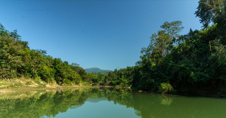 Obraz premium reflection of trees in water in the lake