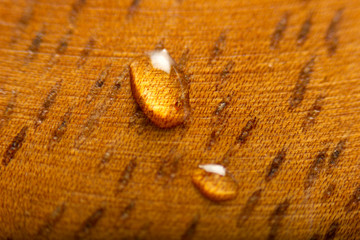 One water drop on a wooden surface. Textured, Backgrounds.