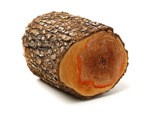 log isolated on a white background