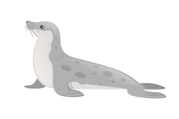 Cute seal cartoon animal design flat vector illustration isolated on white background
