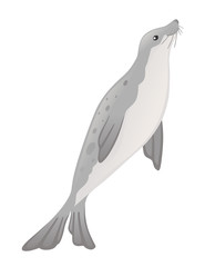 Cute seal cartoon animal design flat vector illustration isolated on white background