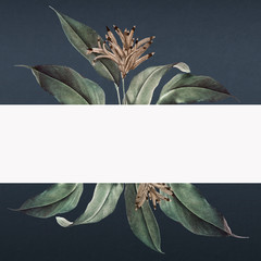 Tropical plant copy space design