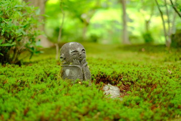 京都　圓光寺　お地蔵さんと青もみじ