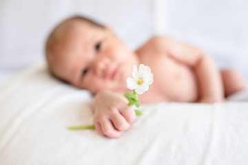 Close up of baby hand holding white flower for sending love and encourage.