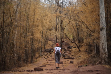 Obraz premium Women standing in the bamboo forest in Phu Kradueng National Park, Loei, Thailand