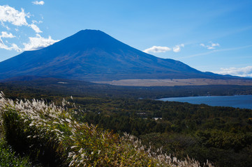 Fototapeta premium 山中湖と富士山