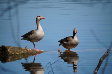 Haben sie mich jetzt entdeckt?