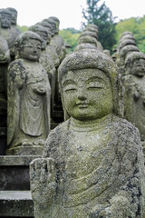 Fototapeta na wymiar Buddha statues standing in line