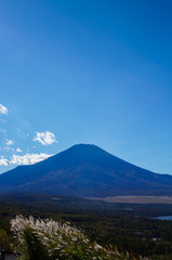 Fototapeta premium 山中湖と富士山