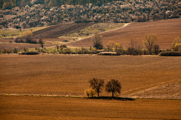 Fototapeta premium A view of the country agricultural field on a sunny summer day.Soil, cultivated dirt, earth, ground, brown land background. Spring in Moldova. Plowed agricultural field under nice sky.
