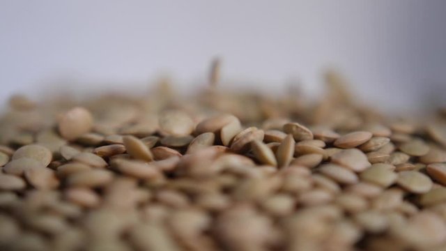 Close-up of falling dried lentils.