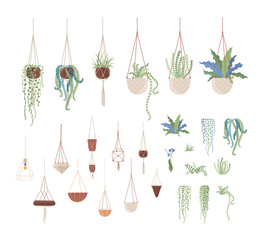 Domestic plants and hanging pots flat vector illustrations set