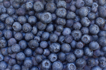 Fresh blueberry background. Texture blueberry berries close up