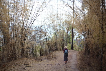 Women standing in the bamboo forest in Phu Kradueng National Park, Loei, Thailand