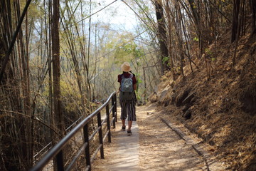 Obraz premium Women standing in the bamboo forest in Phu Kradueng National Park, Loei, Thailand