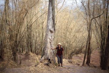 Women standing in the bamboo forest in Phu Kradueng National Park, Loei, Thailand