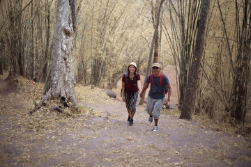 Naklejka premium Women and men walk hand in hand in the bamboo forest in Phu Kradueng National Park, Loei, Thailand