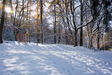 Zima w parku © Heroc