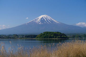 河口湖と富士山
