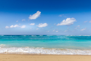 Fototapeta premium Sandy beach in Bali, Indonesia