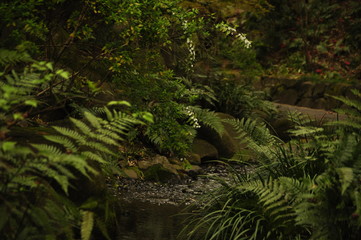 公園を流れる小川のせせらぎ
