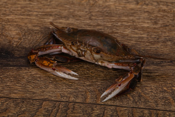 Raw crab - ready for cooking