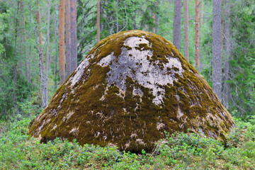 World War II defensive mound in forest, Sweden.