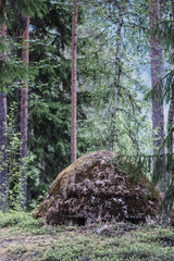 World War II defensive mound in forest, Sweden.