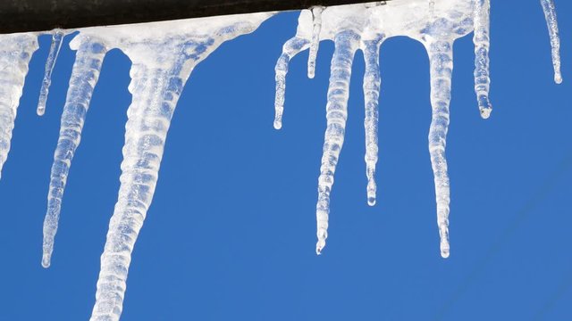 Row of icicle melting with water dripping.