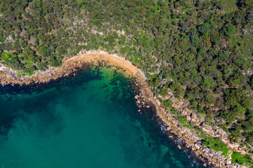 Aerial drone shot of green tree forest and the rocky coastline