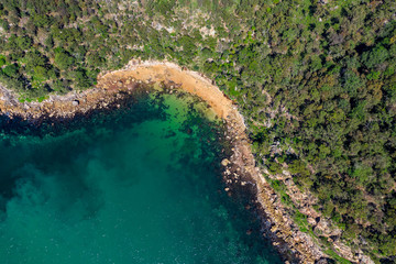 Aerial drone shot of green tree forest and the rocky coastline