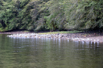 Neets Bay, Alaska / USA - August 18, 2019: Neets Bay coastline landscape, Neets Bay, Alaska, USA