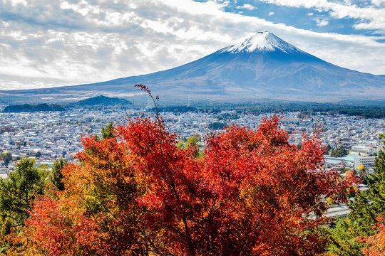 新倉山浅間公園から望む紅葉と富士山