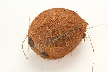 Ripe Coconut isolated on white