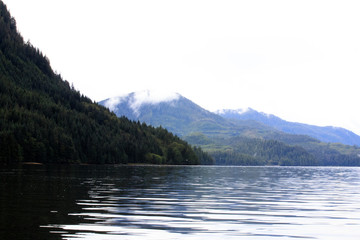 Neets Bay, Alaska / USA - August 18, 2019: Neets Bay coastline landscape, Neets Bay, Alaska, USA