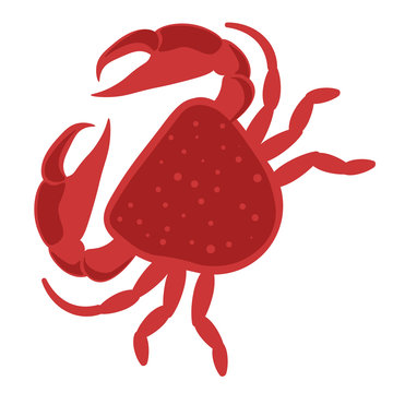 Crab sea or ocean dweller, marine animal vector