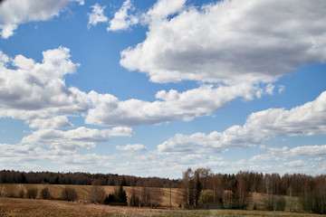 Obraz premium Spring landscape with white clouds on blue sky over yellow field with grass and forest in background