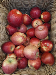 Group of red apples with their leaves