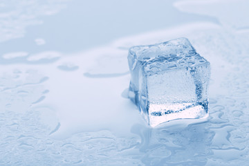 several melted ice cubes with drops on a light background with blue tinting