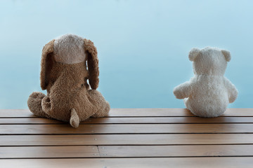 two fluffy dog and bear doll sitting on wood terrace with blue nature water in social distancing concept