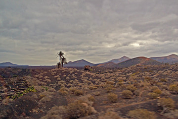 l calm summer cloudy landscape from the Spanish Canary Island Lanzarote