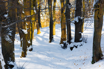 Park zimą w słoneczny dzień